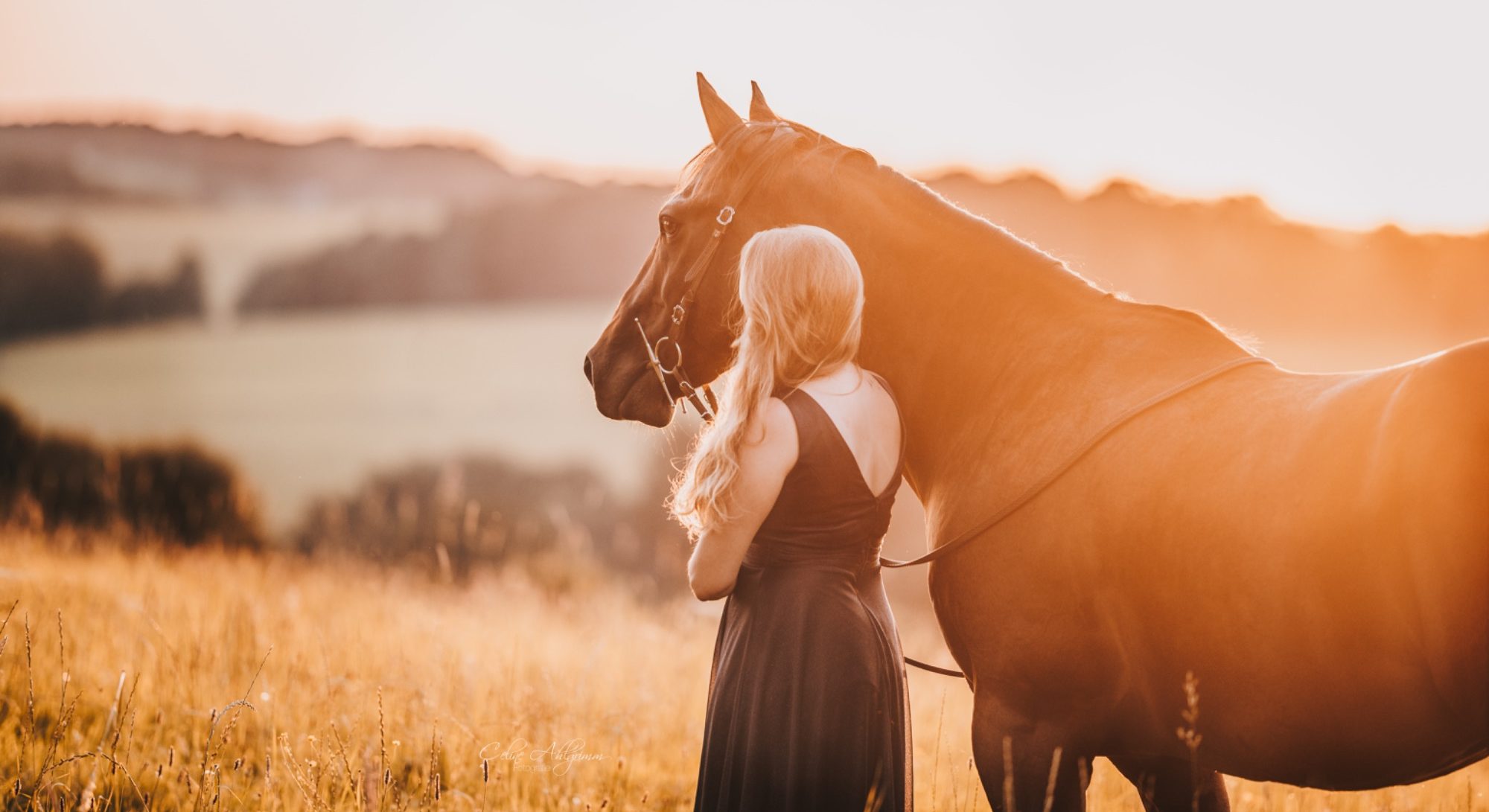 Mensch und Pferd im Sonnenuntergang Mensch und Pferd im Sonnenuntergang