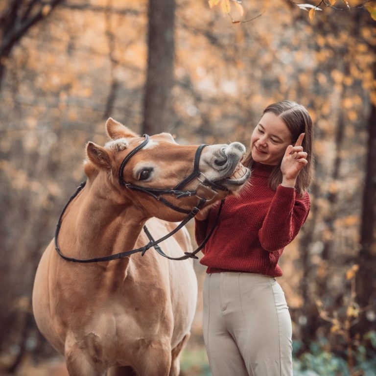 Pferd mit Mädchen auf einer Brücke Pferd mit Mädchen auf einer Brücke